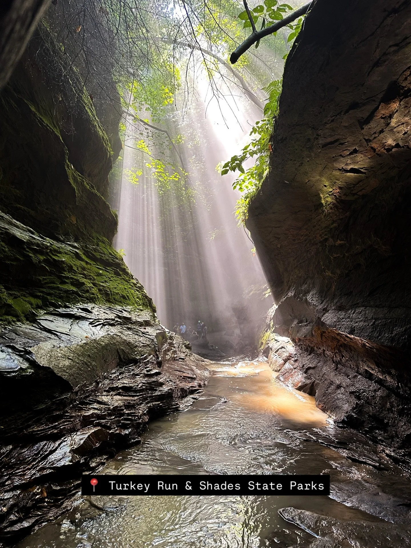 Today is #NationalDayOfUnplugging, and there&rsquo;s no better place to step away from the noise and reconnect with nature than at Turkey Run and Shades State Park. 🌿 #ParkeCountyIndiana