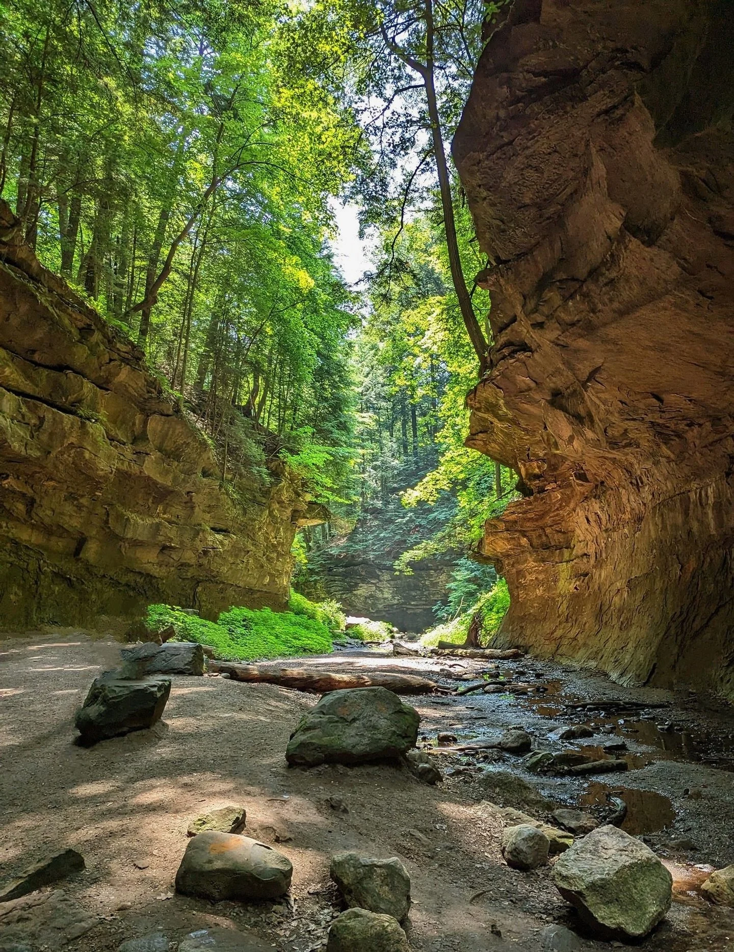 Happy #EarthDay from beautiful Parke County, Indiana! ❤️🌿🌎

You might be surprised to know these stunning views are right here in our own backyard&hellip; it&rsquo;s not all cornfields after all. 🌾 From the scenic trails of Turkey Run State Park t