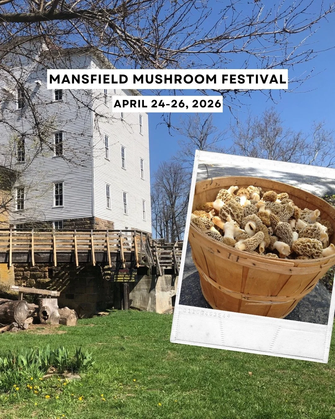 Don&rsquo;t miss the Mansfield Mushroom Festival THIS weekend! 🍄

Join us April 24, 25 and 26 at Hilltop Farm in Mansfield for a full weekend of morels, food, shopping, and small town fun in Parke County, Indiana.

📍 6850 Martin Rd, Rockville, IN
L