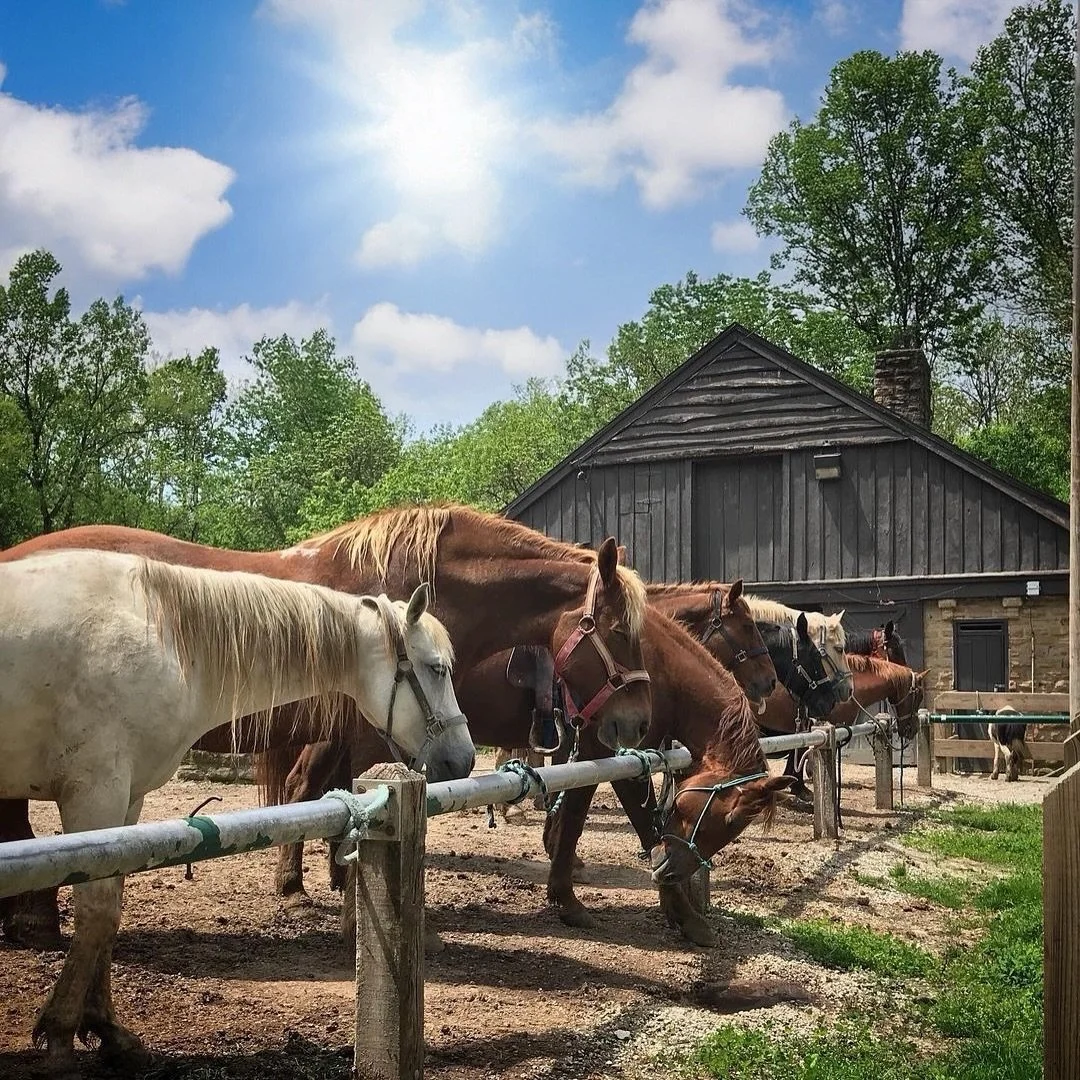 Did you know Turkey Run State Park offers guided horseback trail rides?! 🐴🌿

Enjoy a scenic one-hour ride through one of Indiana&rsquo;s most beautiful state parks! Trail rides are $30 per rider, with a $5 discount for cash payments. Riders must be