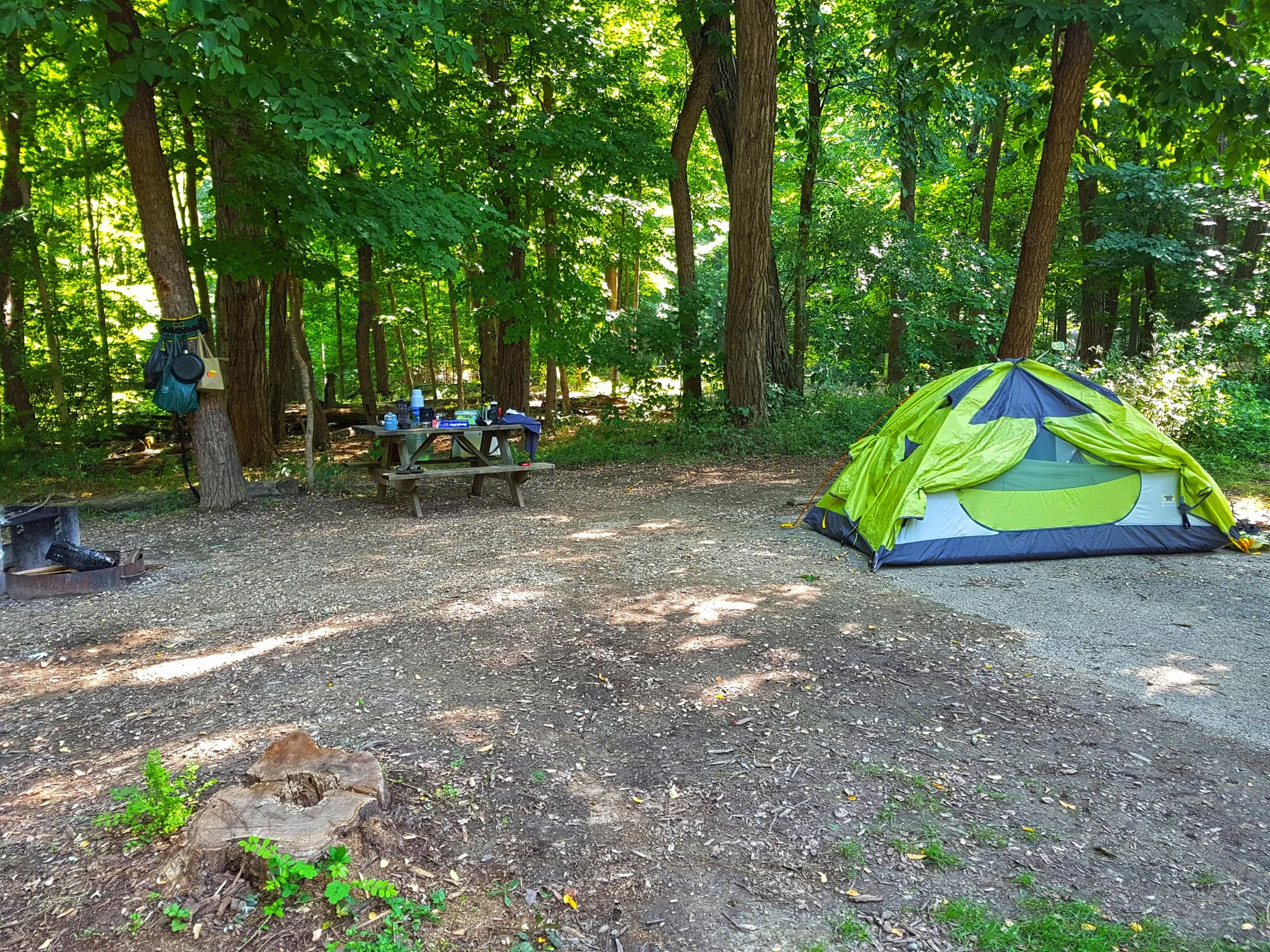 20180827_112311-scaled-1.jpg