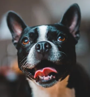 Screenshot 2025-12-10 005038.png