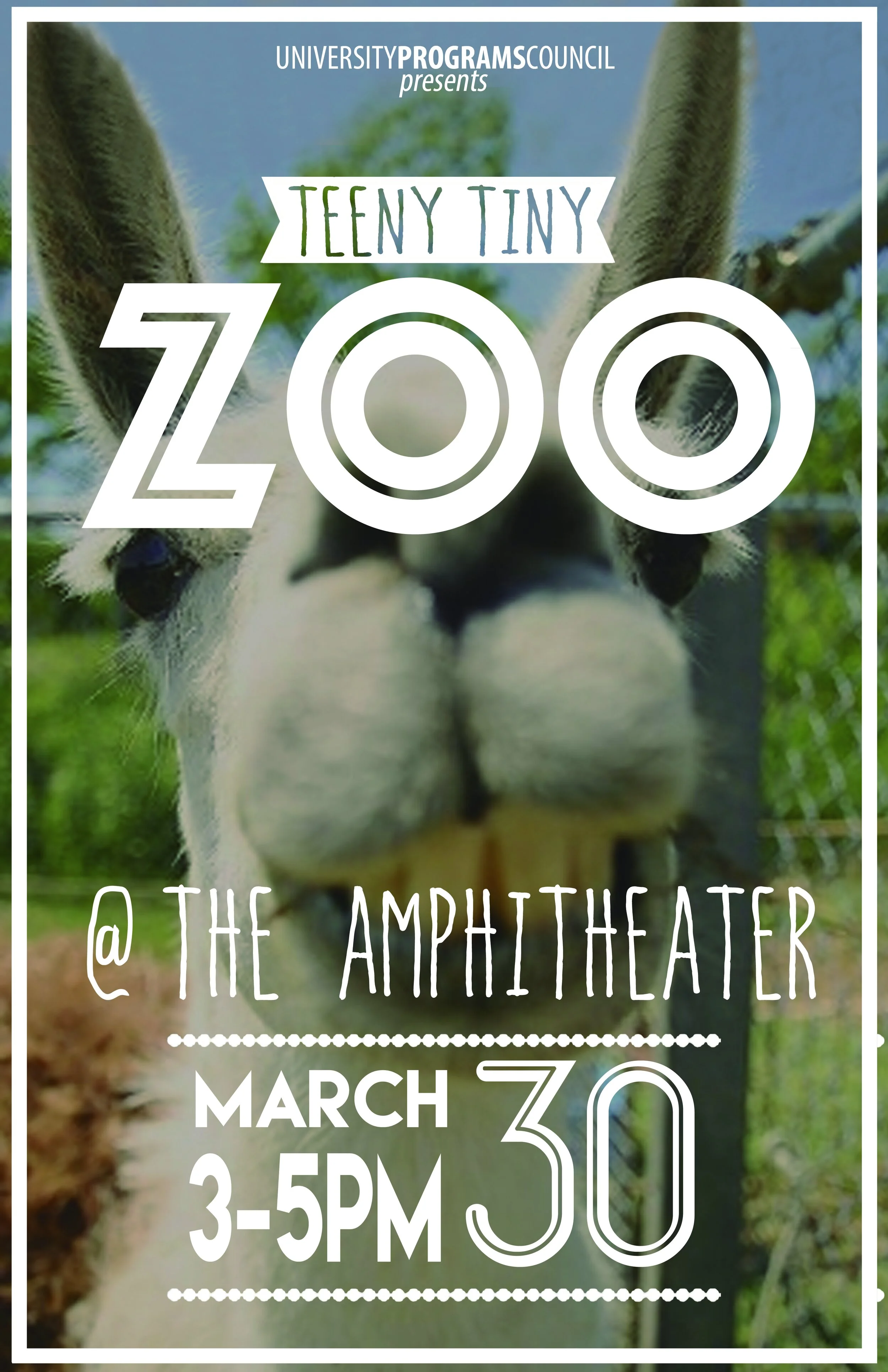 teenytinyzoo11x17.jpg