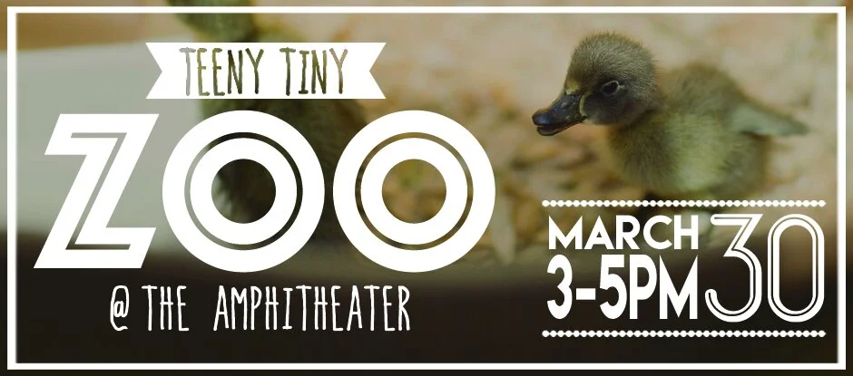 Teeny tiny zoo website slider.jpg