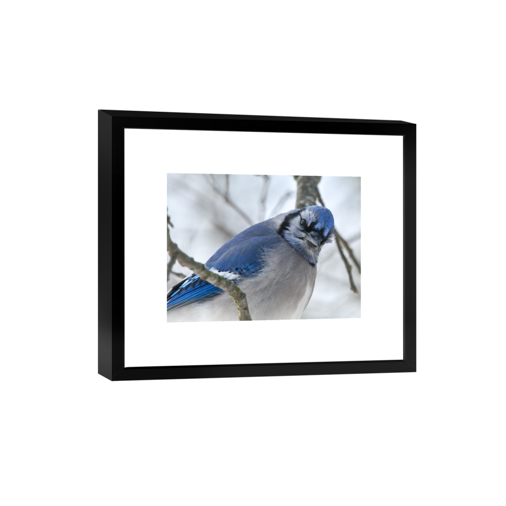 smartframe_rectangle3_4_194_0_3110_2333_0_false_ffffff_0_0.png
