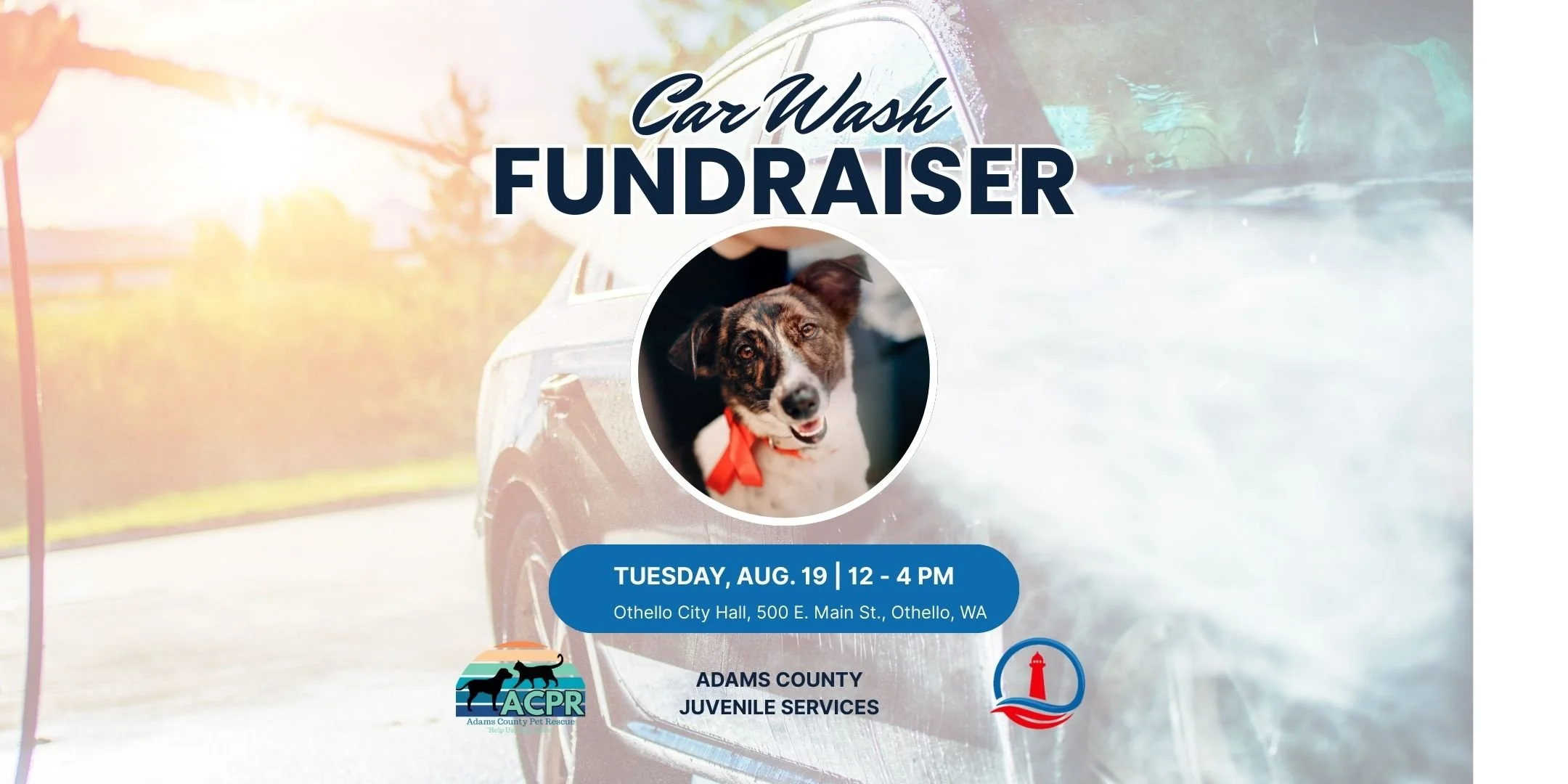 Car Wash for Pet Rescue