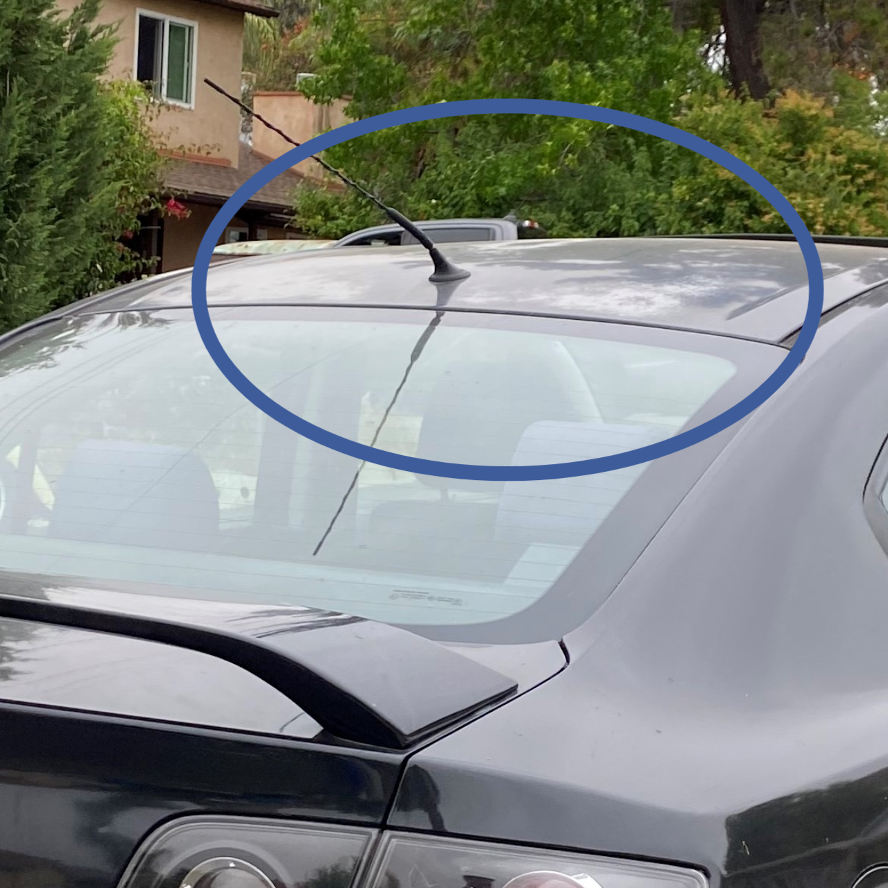 Paint Oxidation or Clear Coat Failure?