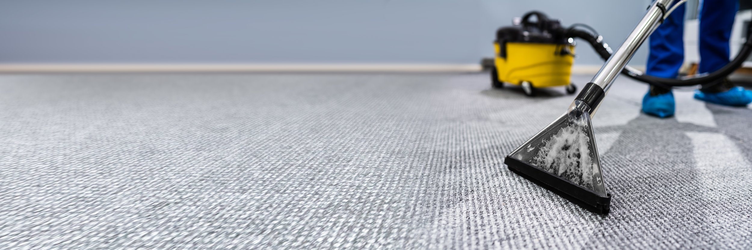 Best Carpet Extractor For Car Detailing