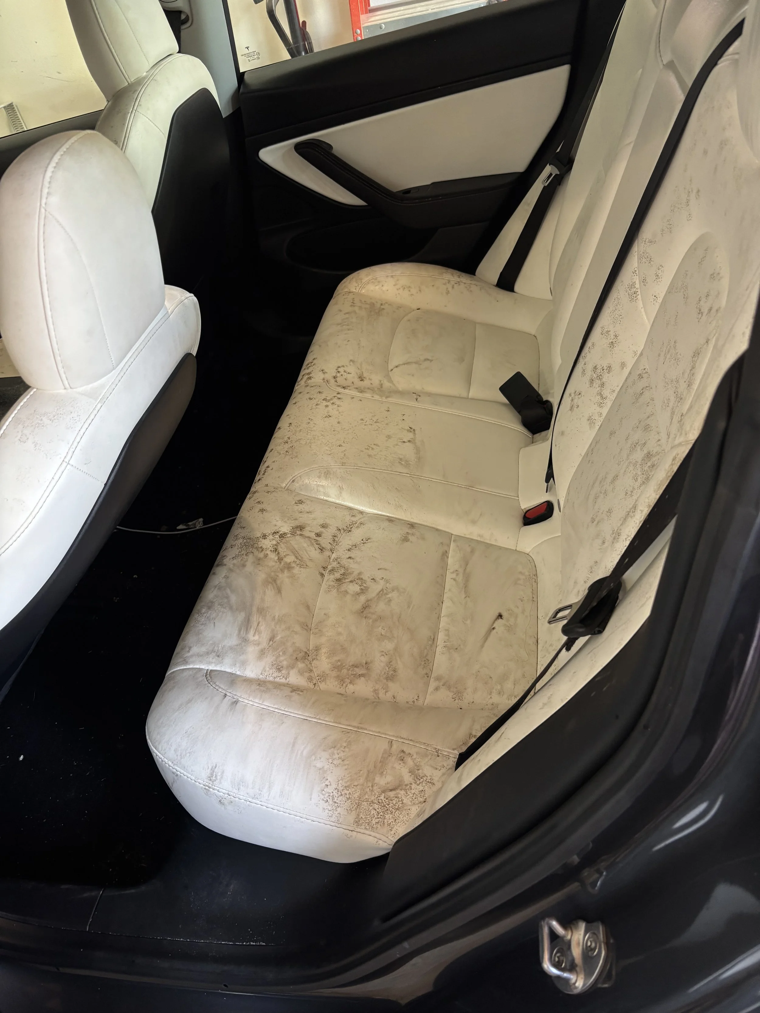 Before Mold Removal