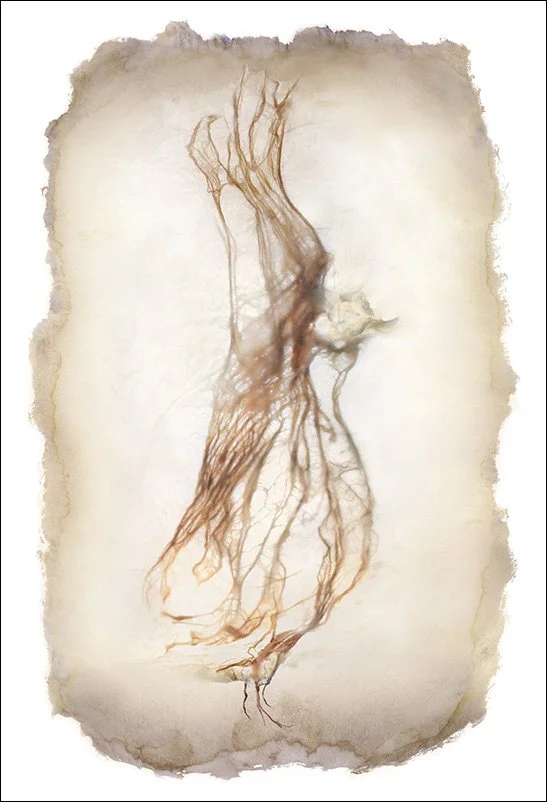 Untitled 2512, pigment print, wax, 22"x14"