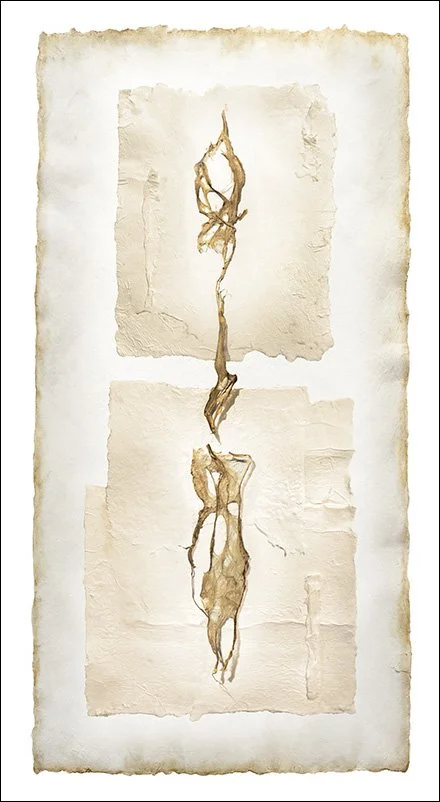 Untitled 2501, pigment prints, 39"x19"