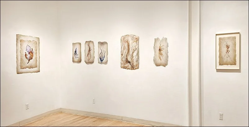 Installation at Bromfield Gallery 2025