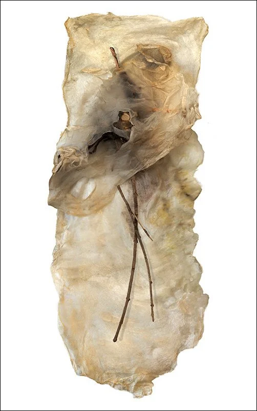 Untitled 2507, pigment print, 31"x13"