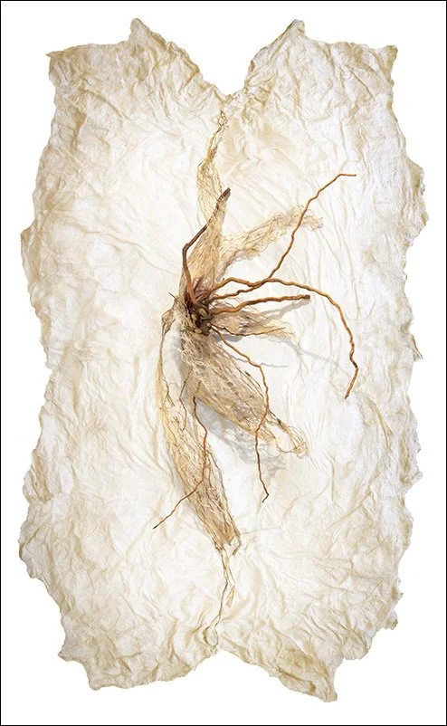 Untitled 2502, pigment print, wax, 23"x15"