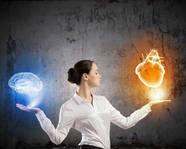 depositphotos_41109487-stock-photo-heart-or-brain.jpg
