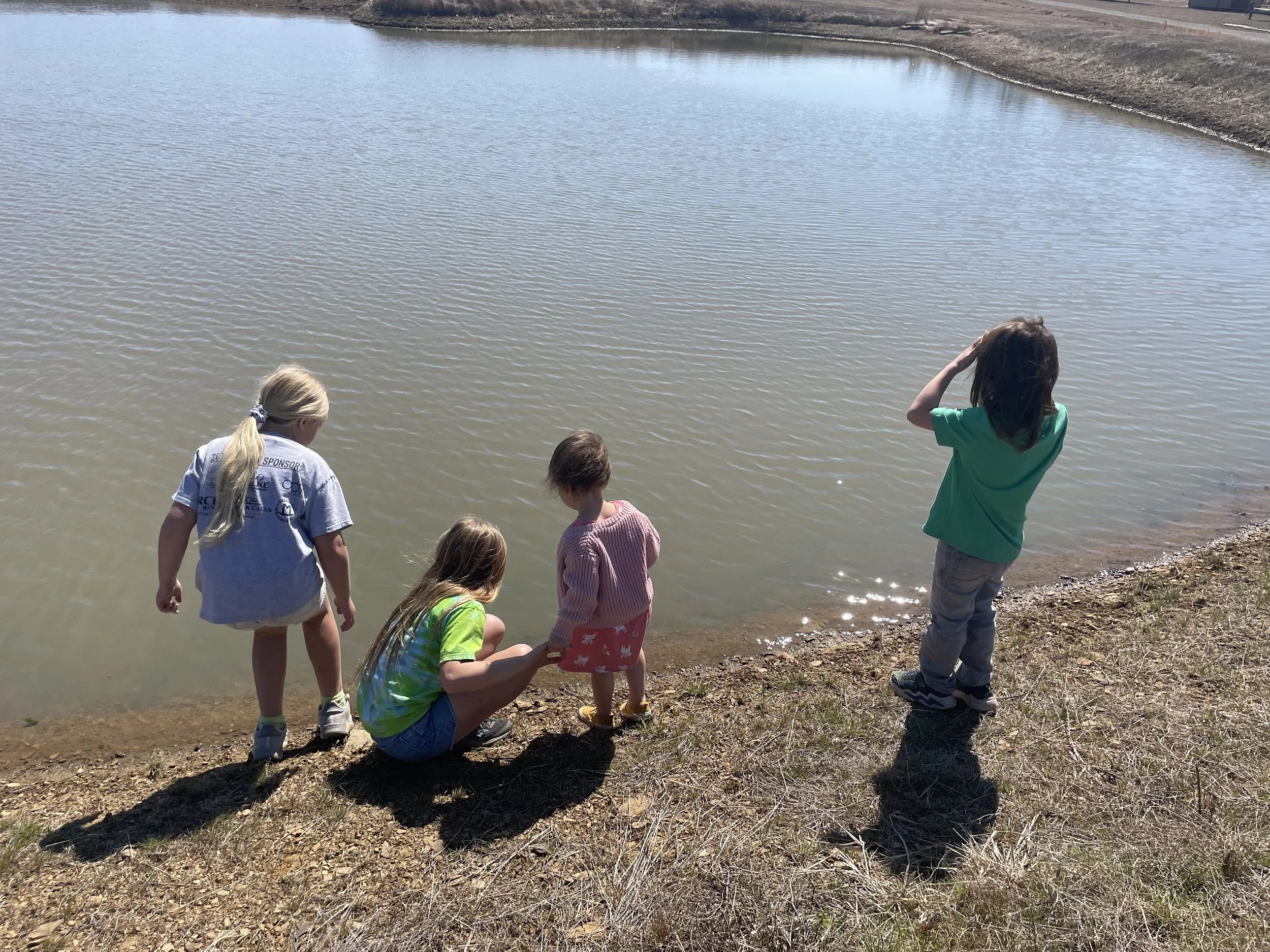 Raising Radishes Tulsa Urban Farm School