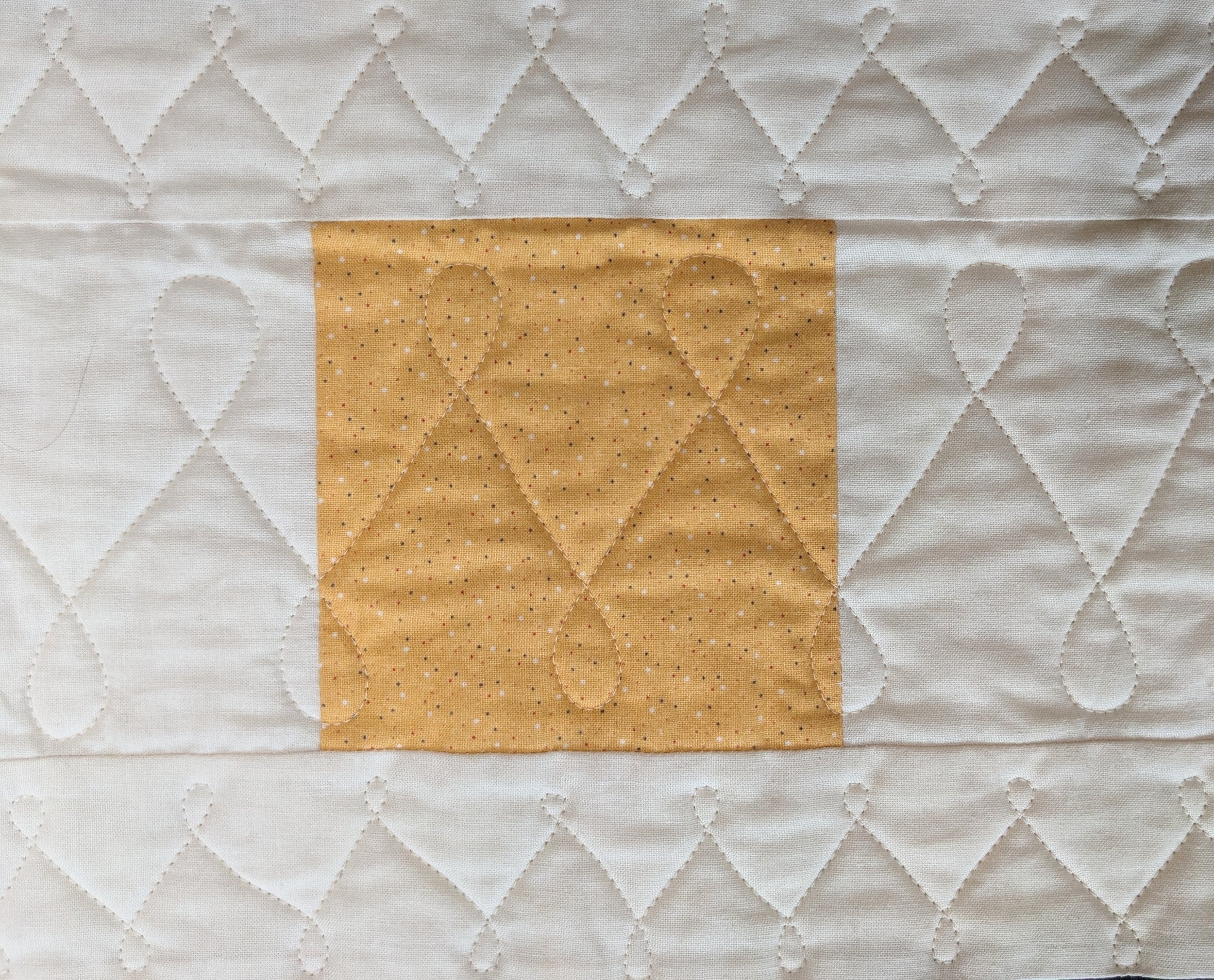BDMNDetail1.jpg