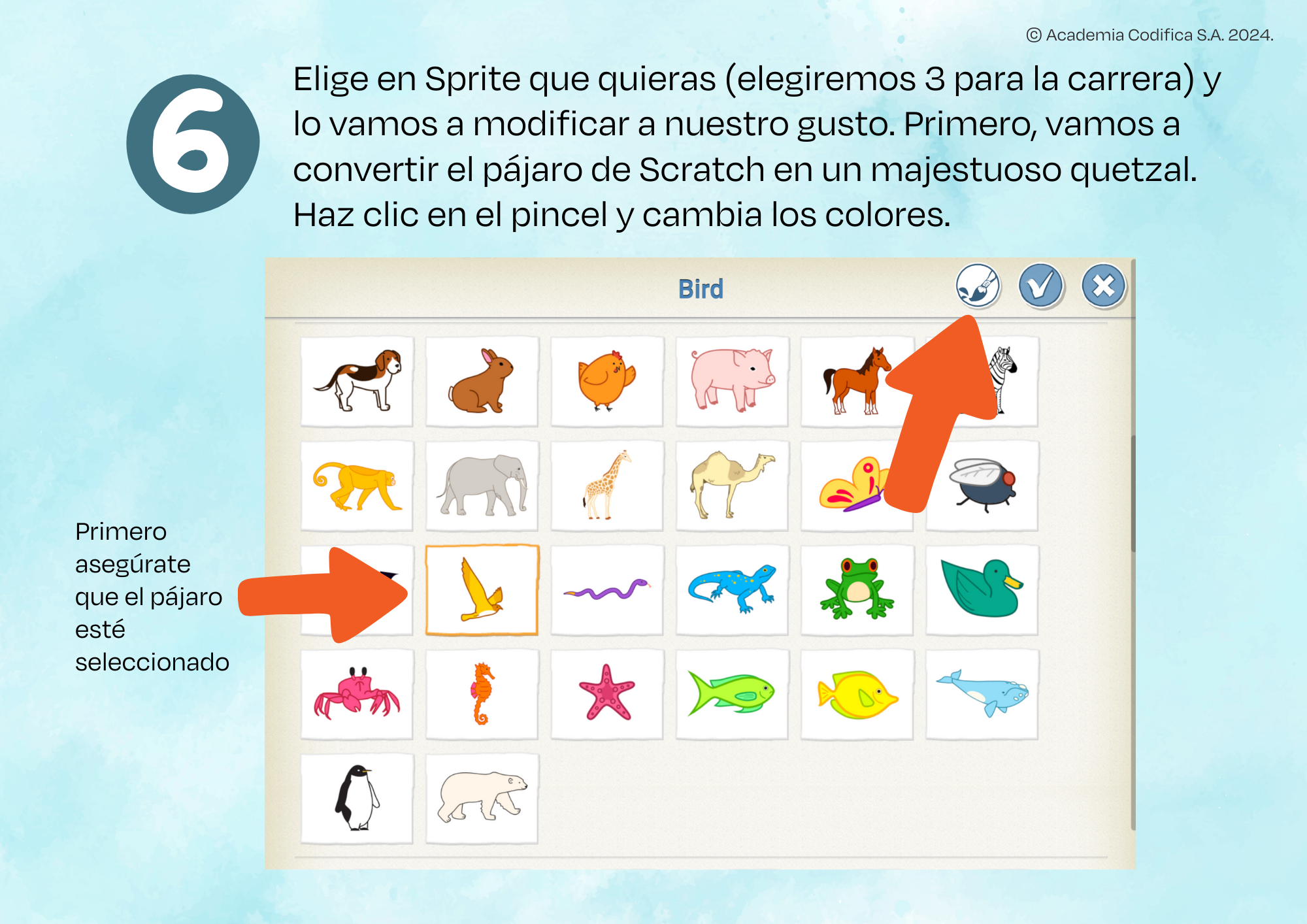 PASO 6