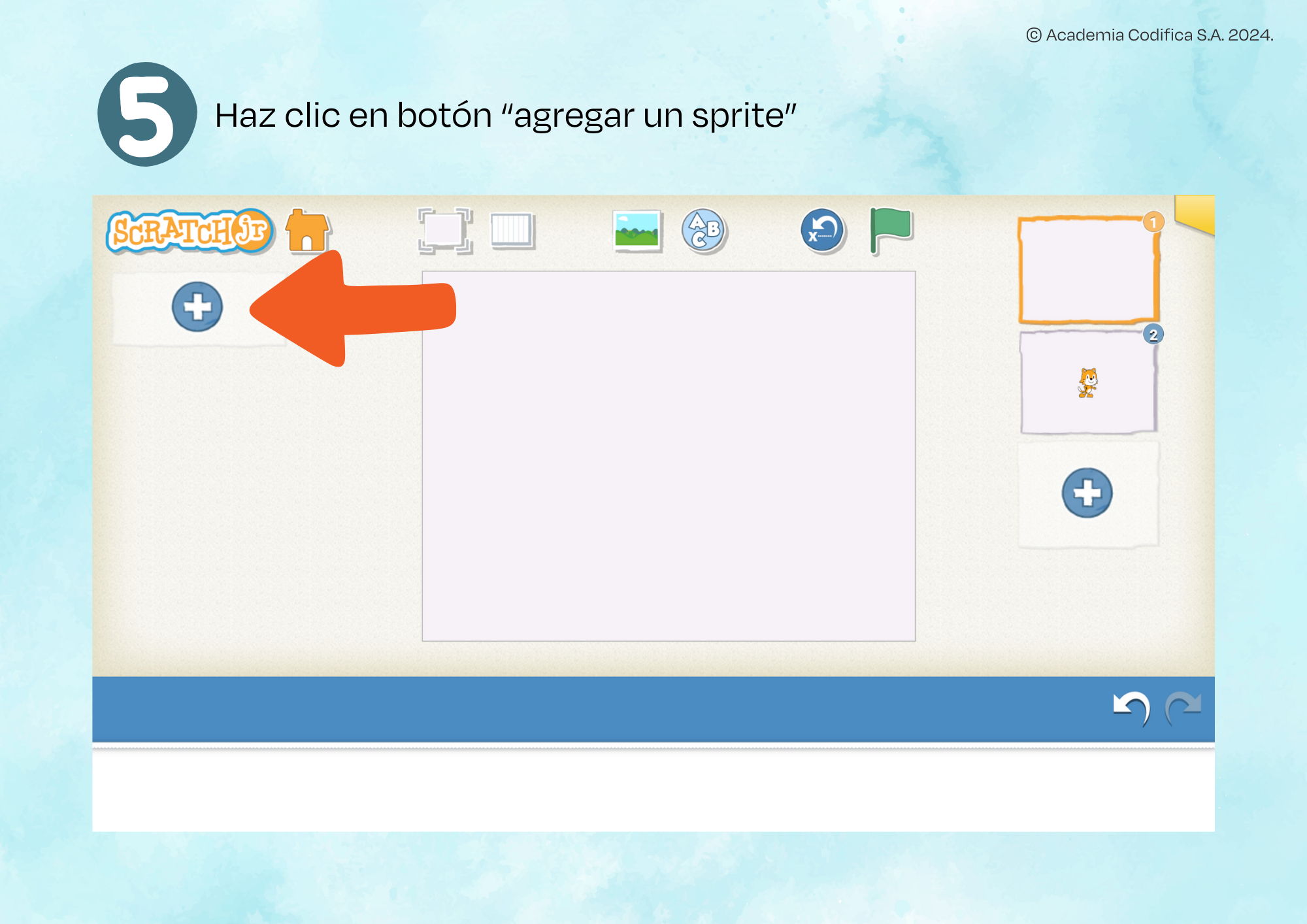 PASO 5