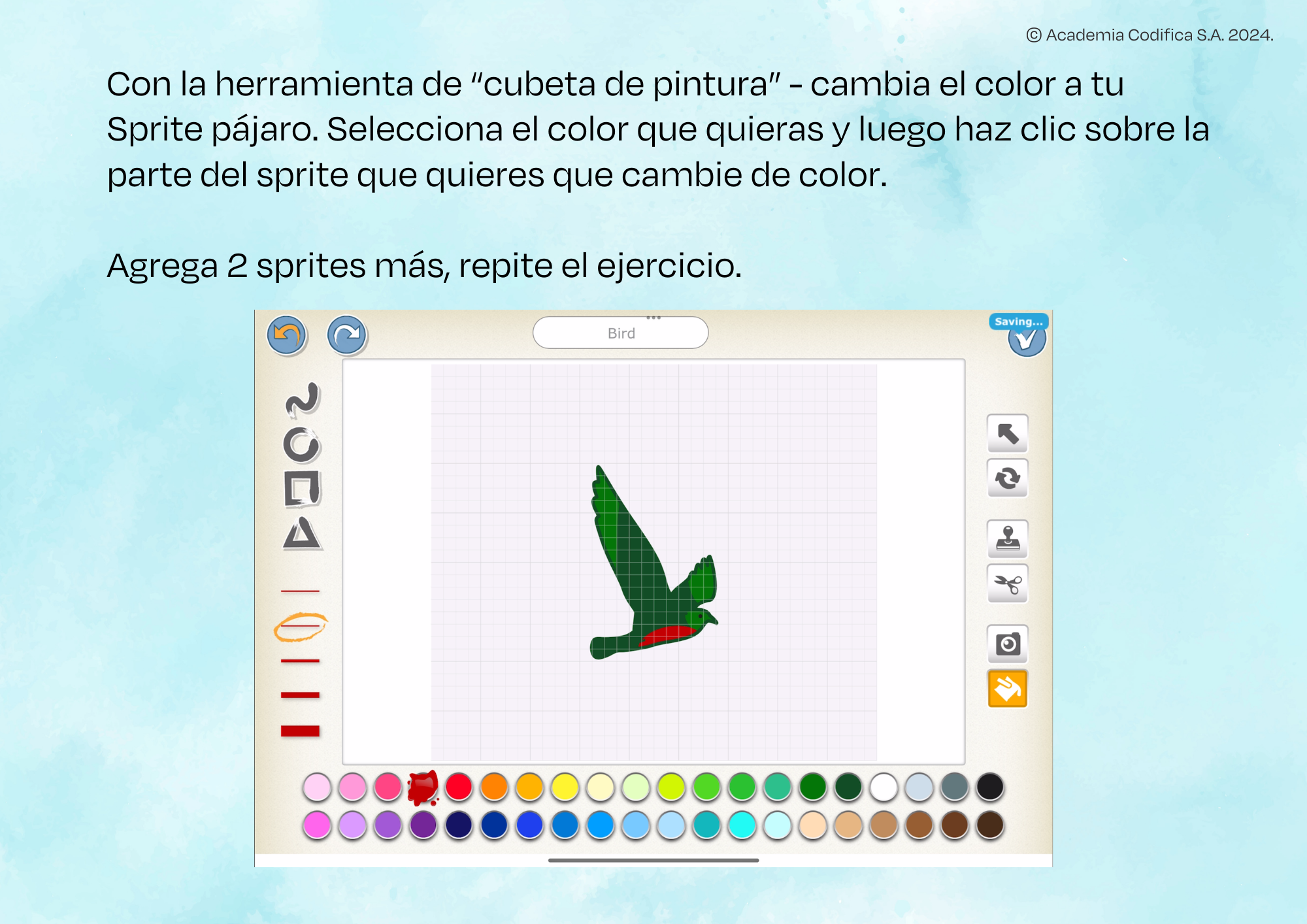 PASO 6.2
