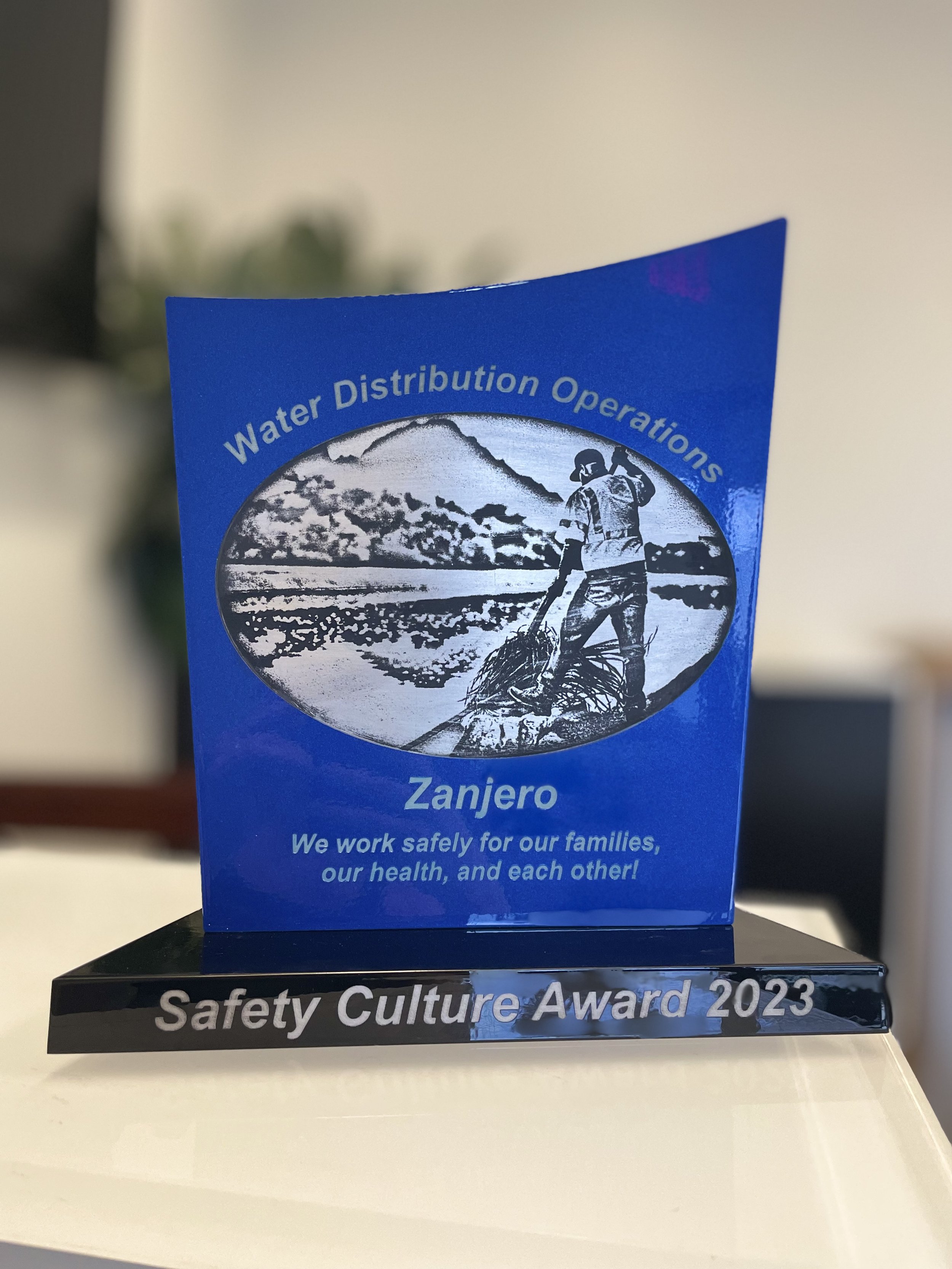 SRP Award.jpg