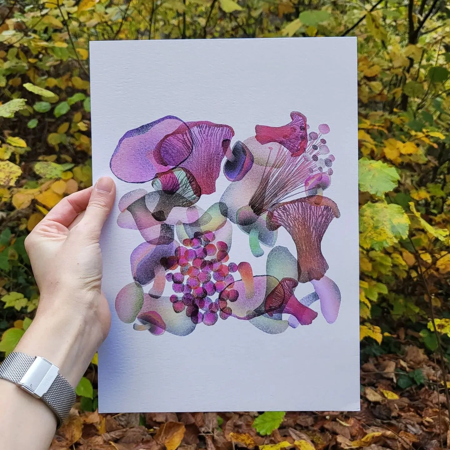 New pictures of the Mushroom drawing from last year 🍁 
Some print still available:) 
.
.
.
#procreate #drawingchallenge #naturemorte #mushrooms #autumndrawing #srilllife