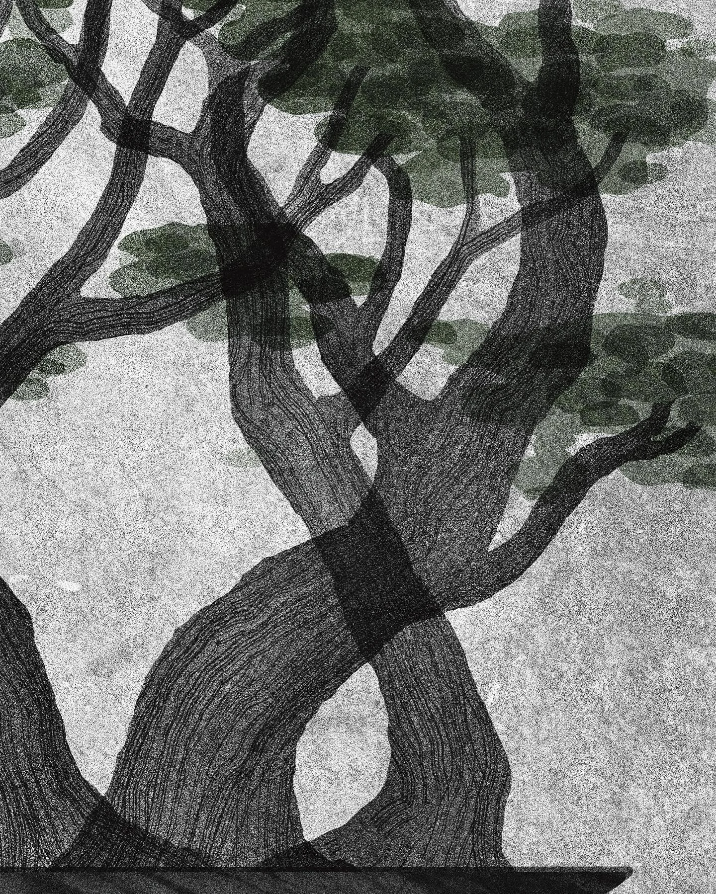 Parts of a new bonsaï / tree drawing in process ! 🐸
Always one of my favorite things to draw!
.
.
#frenchillustrator #bonzai #bonsai #procreate #womenwithpencils #그림 #일러스트 #stilllifedrawing