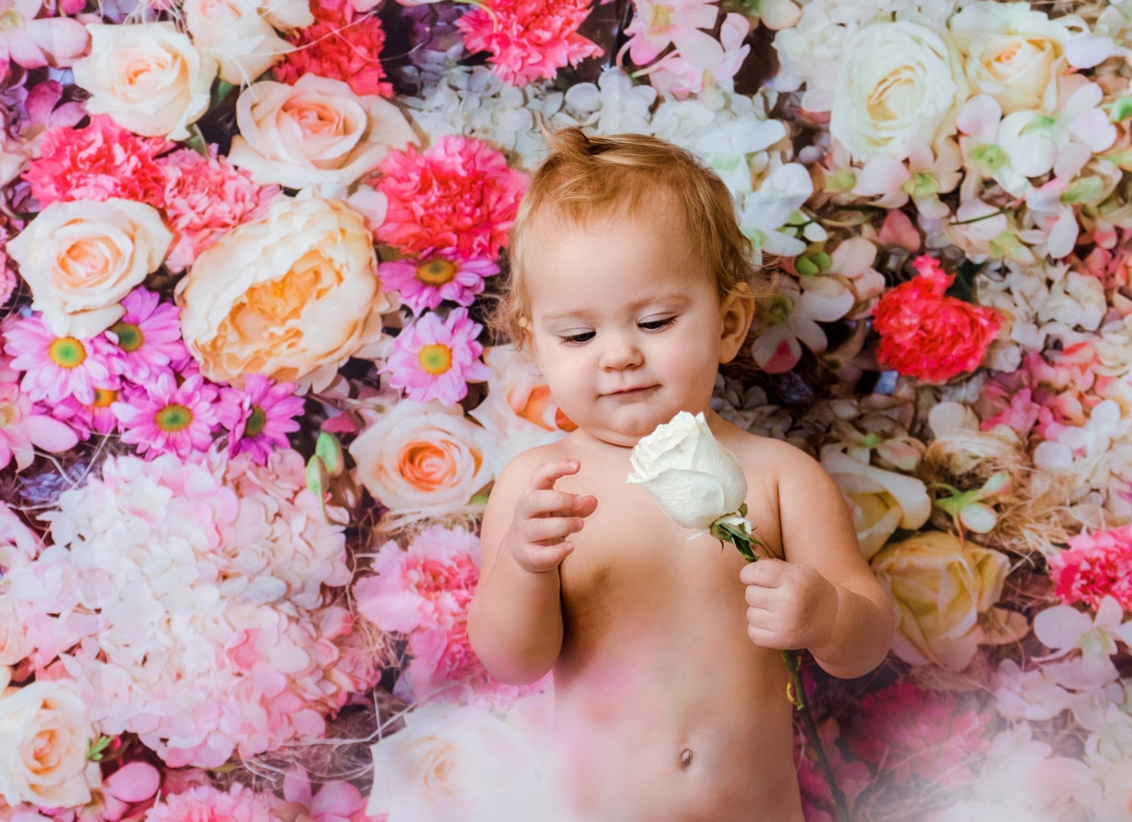 A young child with light skin and curly red hair, holding a white rose, standing against a background of pink, white, and peach flowers.