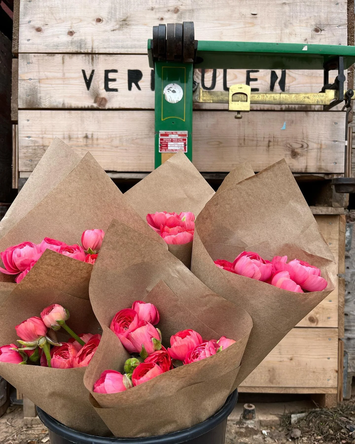 Tiny Treasure — Vermeulen Flower Farm