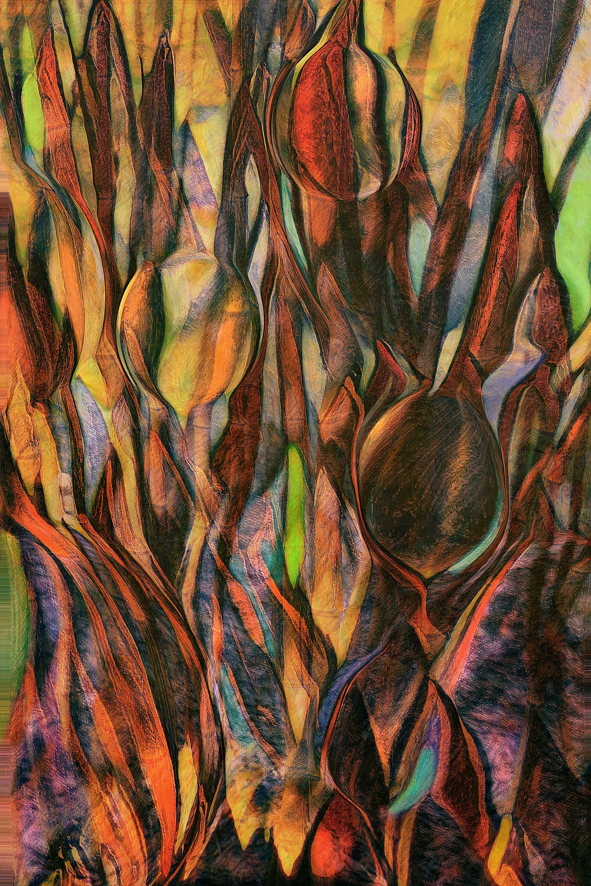 Natures Dance copy.jpg