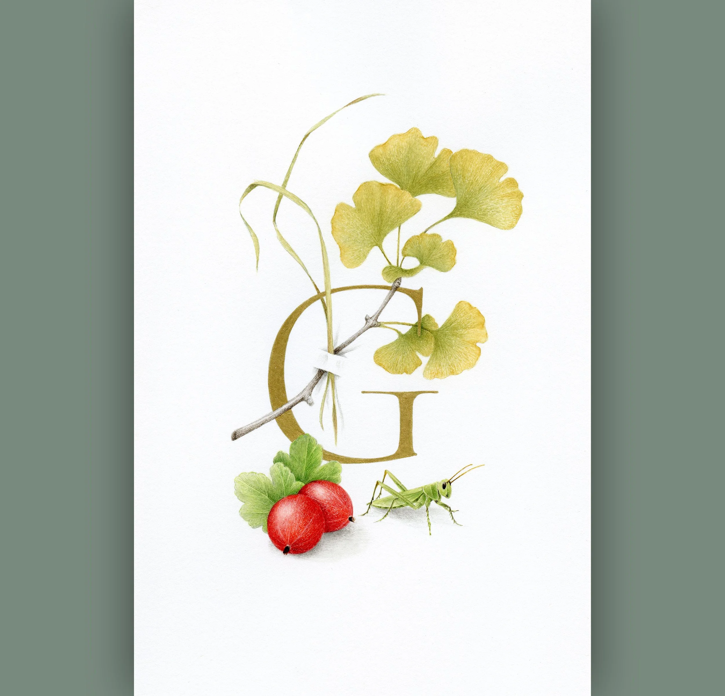 Alphabet of Nature_2500x2400_7.jpg