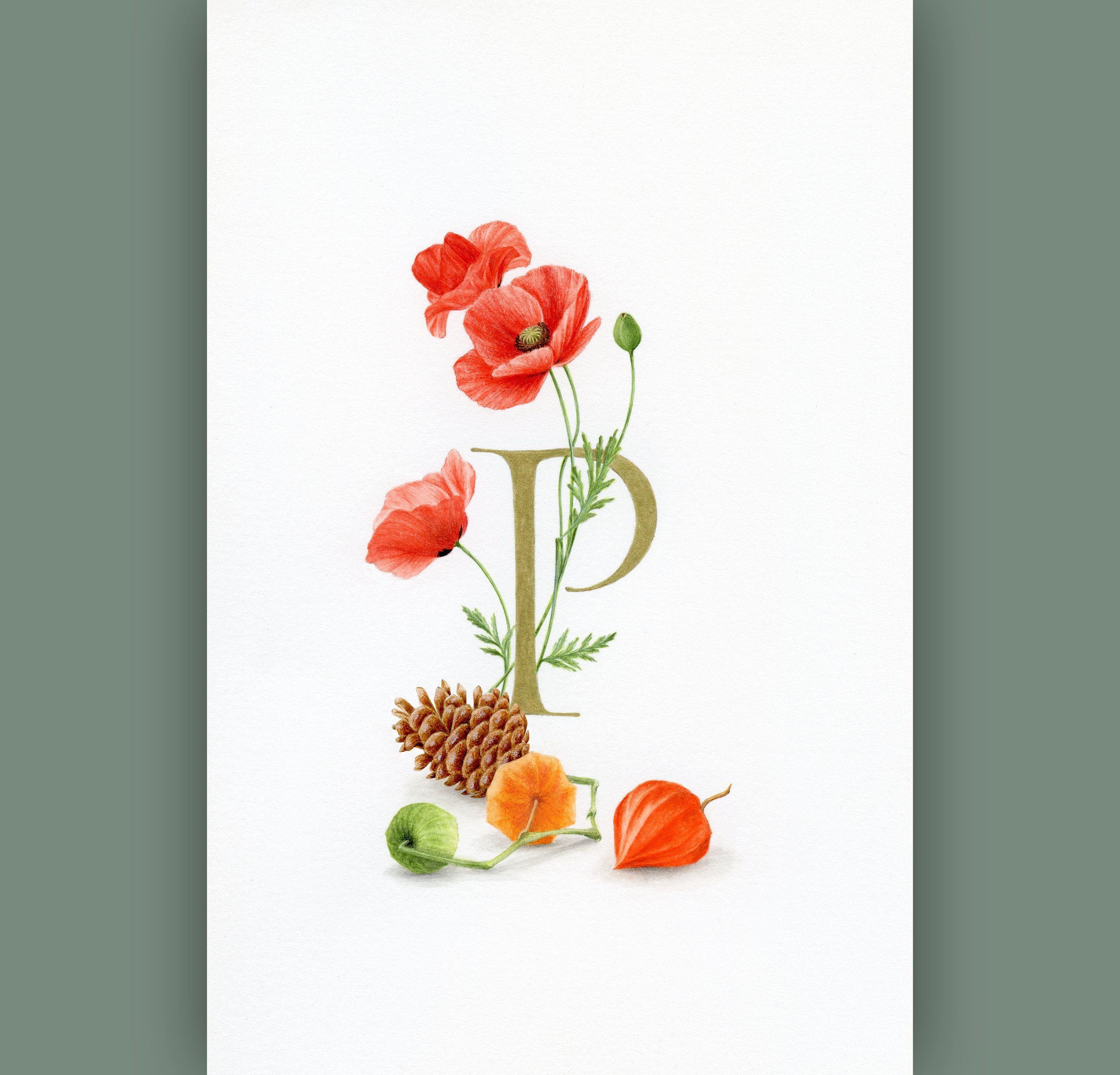 Alphabet of Nature_2500x2400_16.jpg