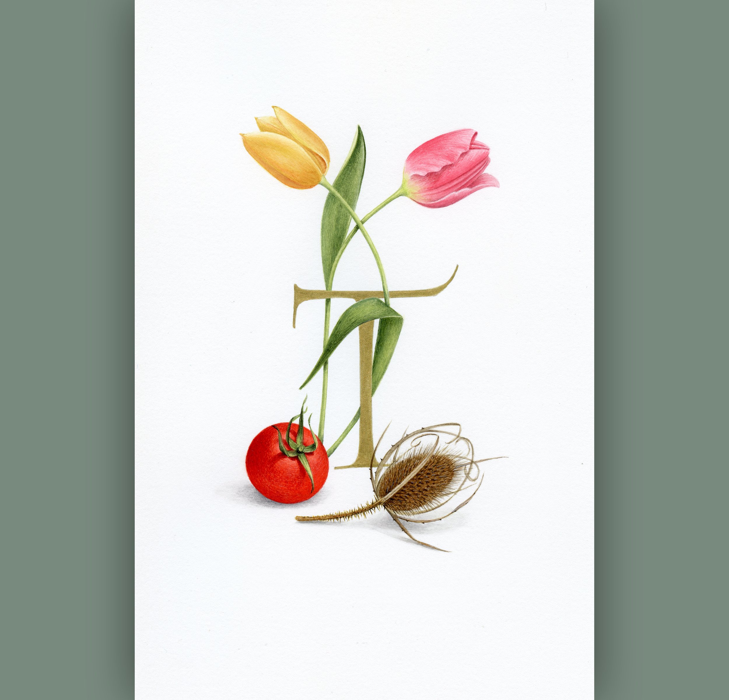 Alphabet of Nature_2500x2400_20.jpg