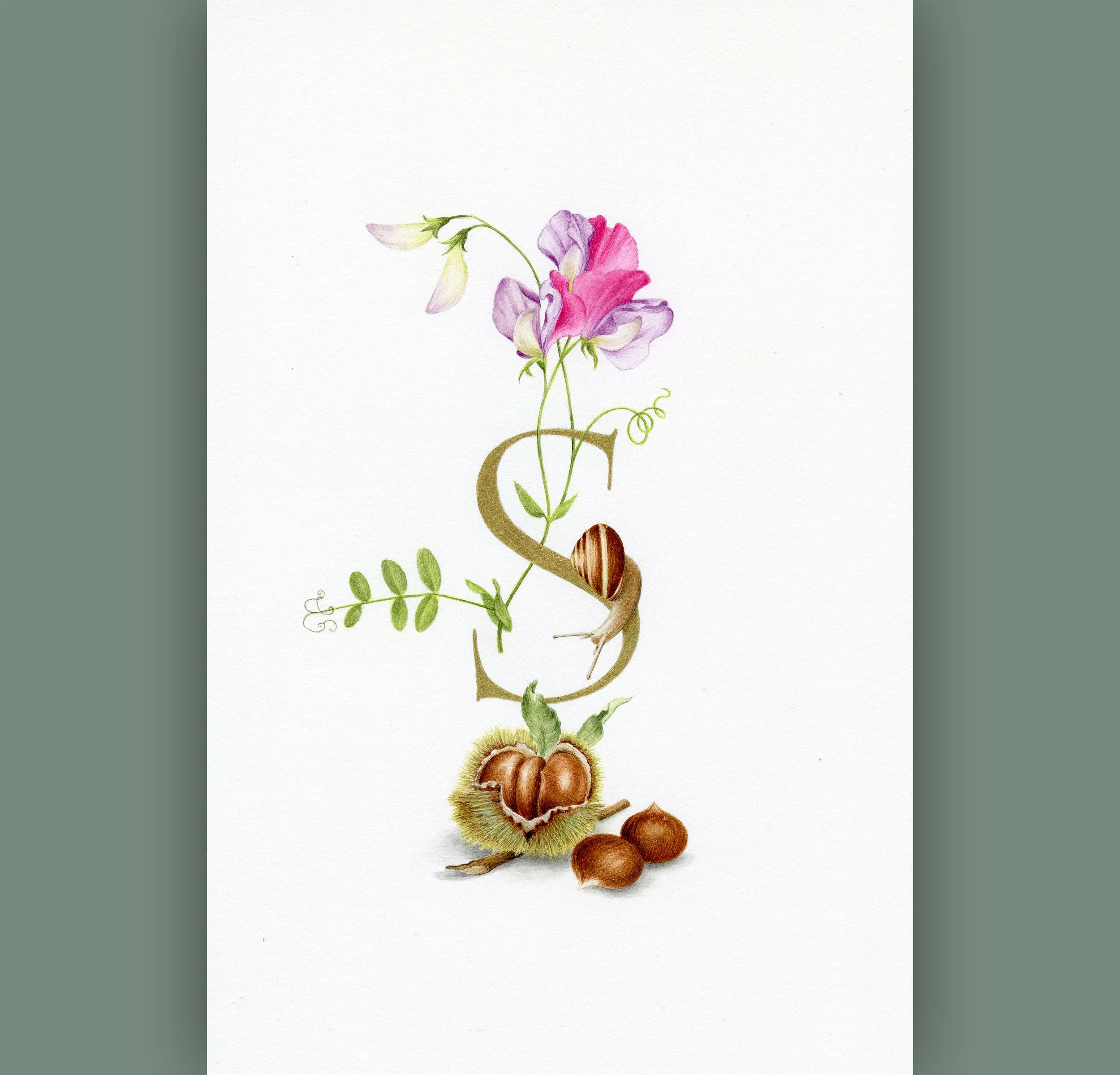 Alphabet of Nature_2500x2400_19.jpg