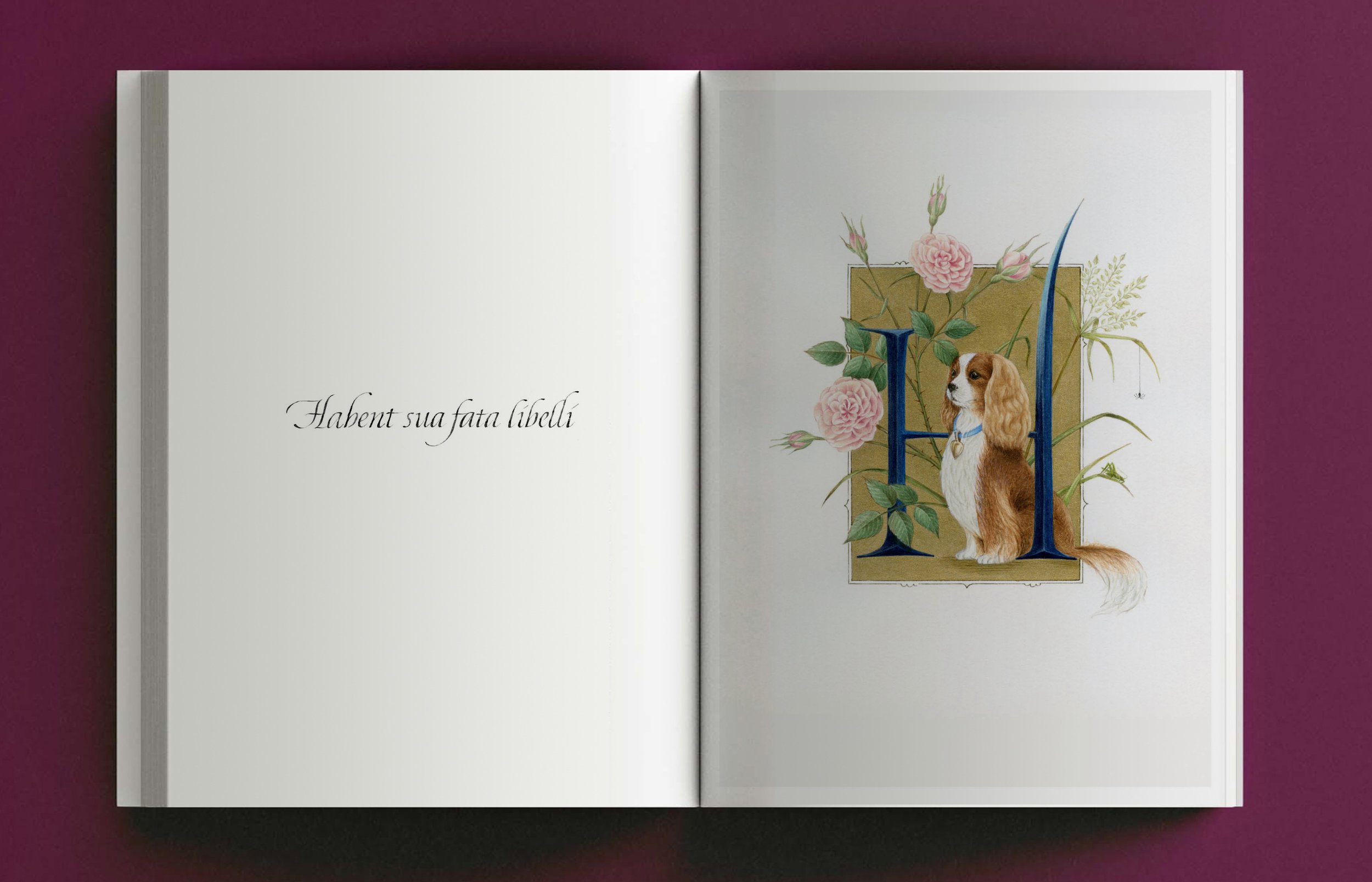 Illuminated_Alphabet_mockup_18.jpg