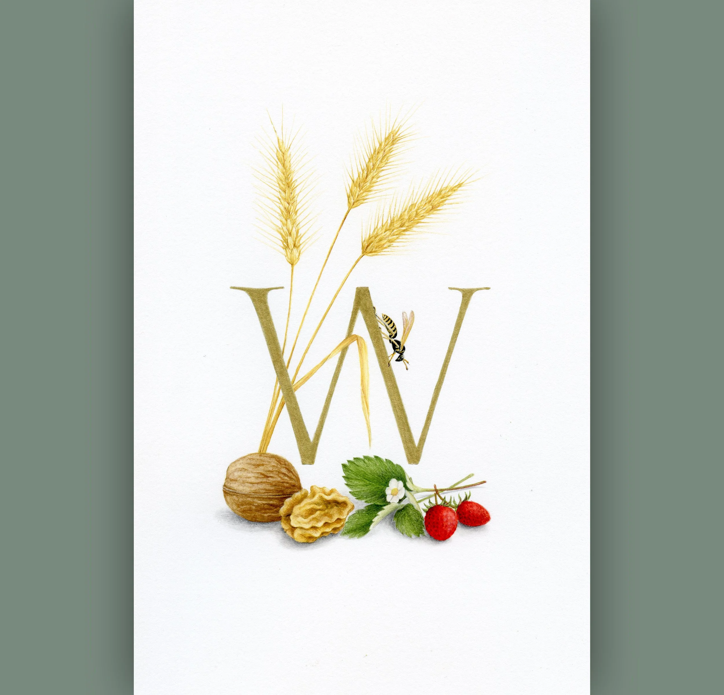 Alphabet of Nature_2500x2400_23.jpg