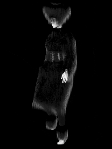 mcqueen sample horn fur walk.gif