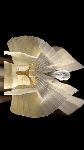 giphy (8).gif