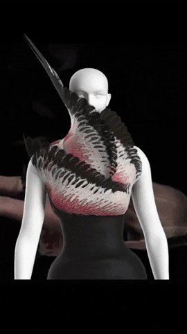 giphy (28).gif