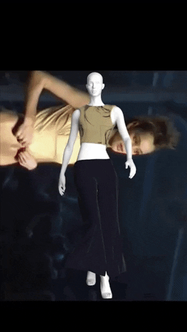 giphy (33).gif