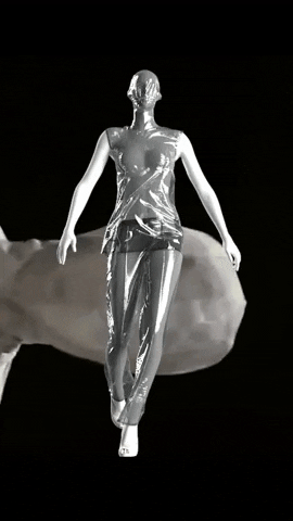 giphy (39).gif