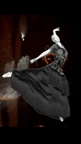 giphy (42).gif