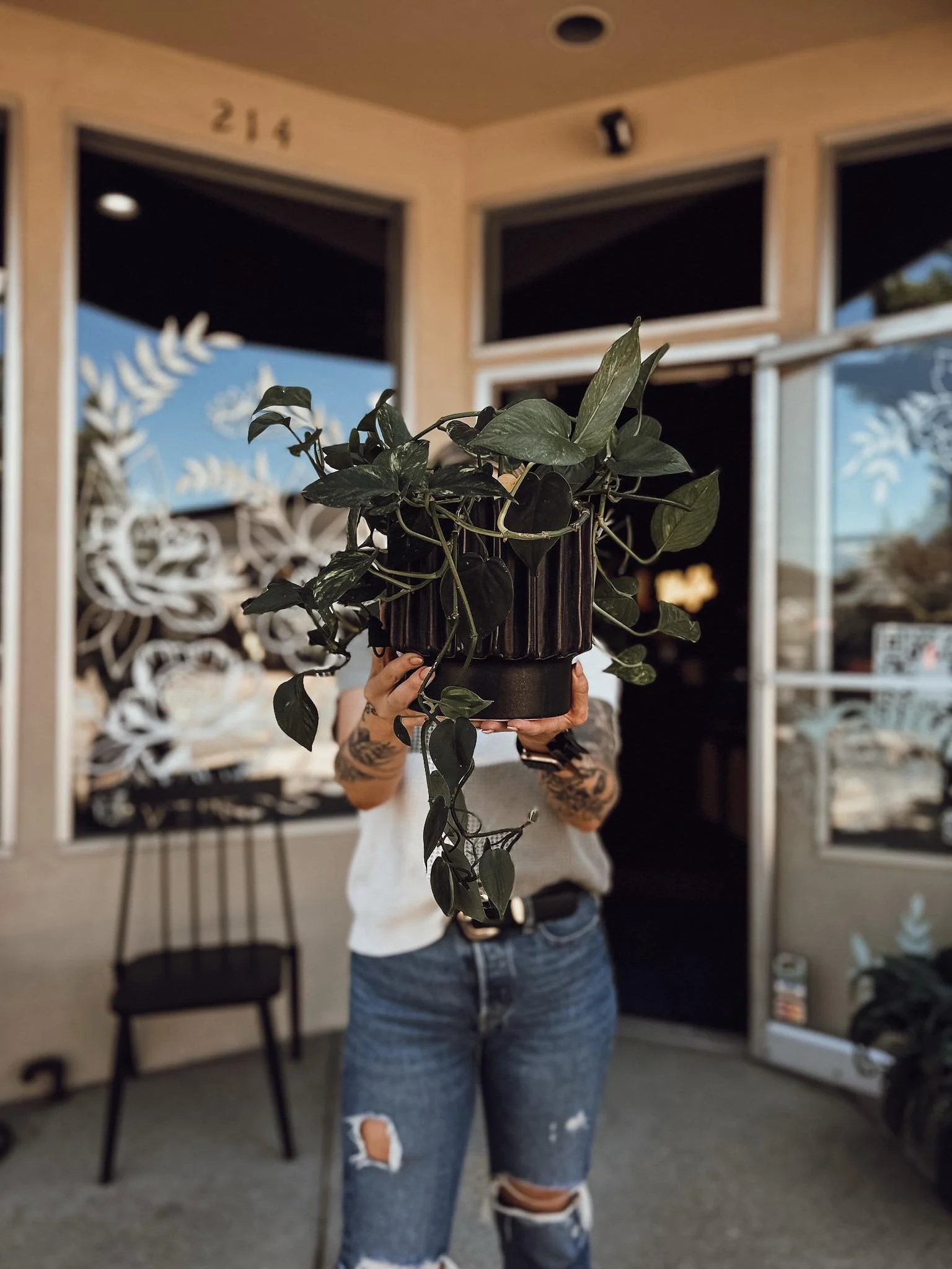 Person holding a potted green plant in front of a storefront with large windows and decorative white designs, outside on a clear day.
