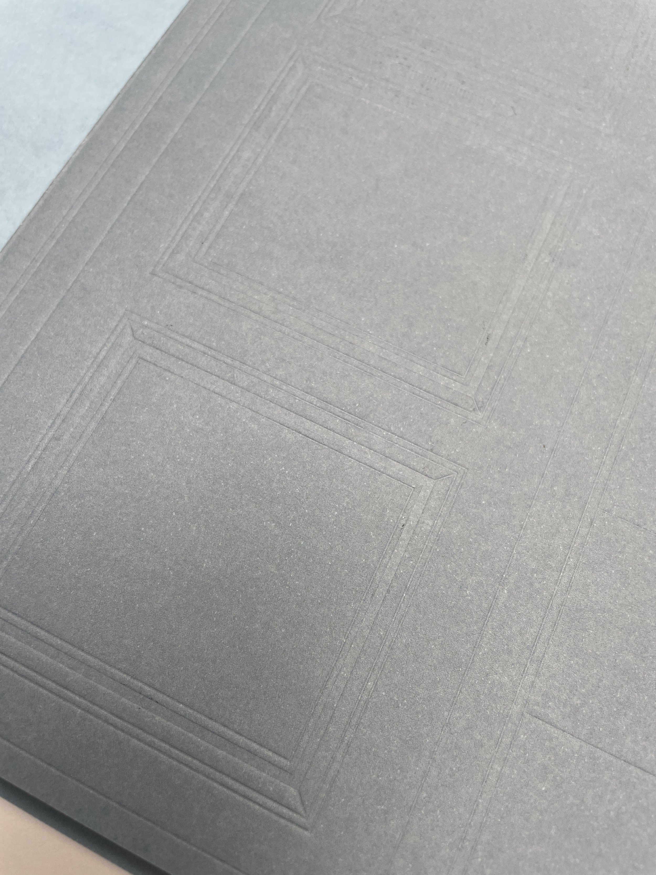 The embossed cover of "Beyond the Blue Door"