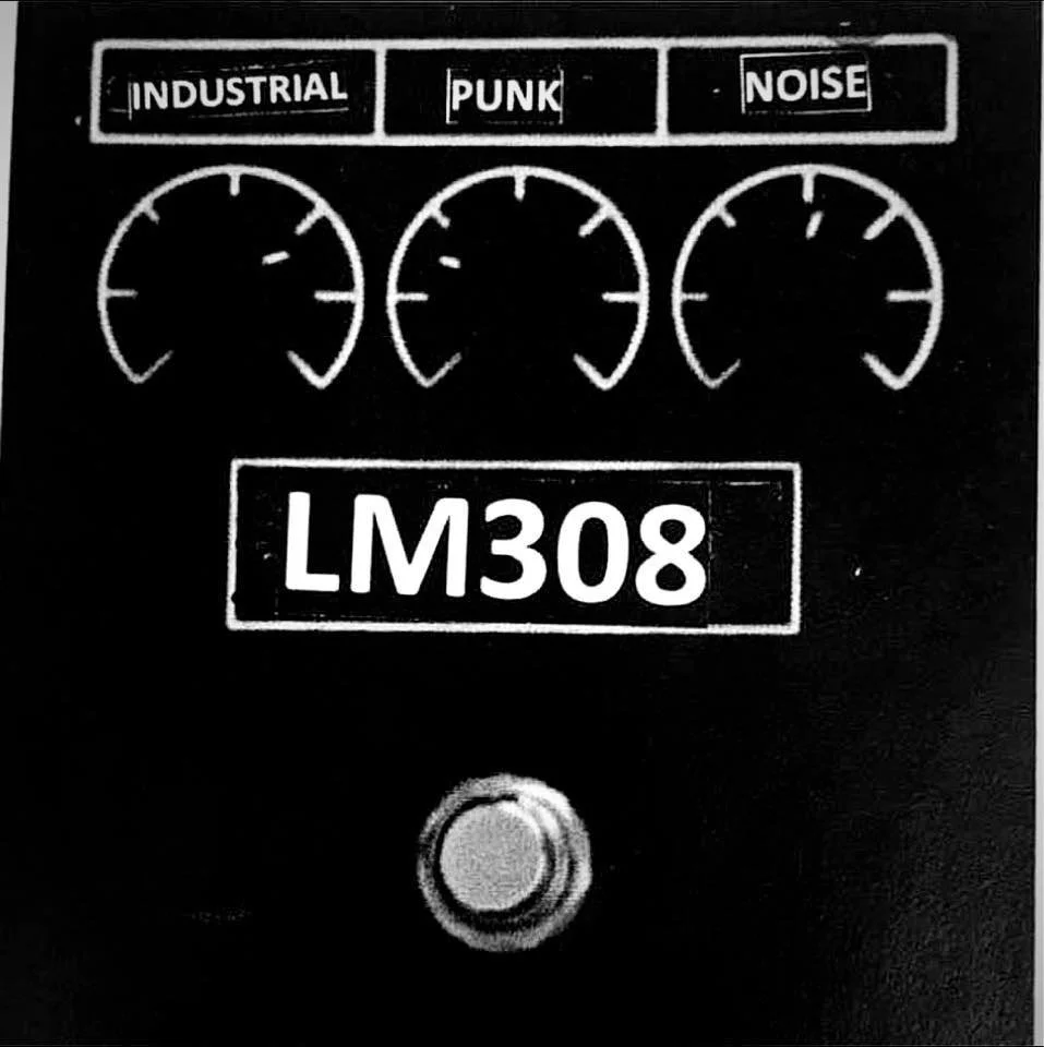 LM308