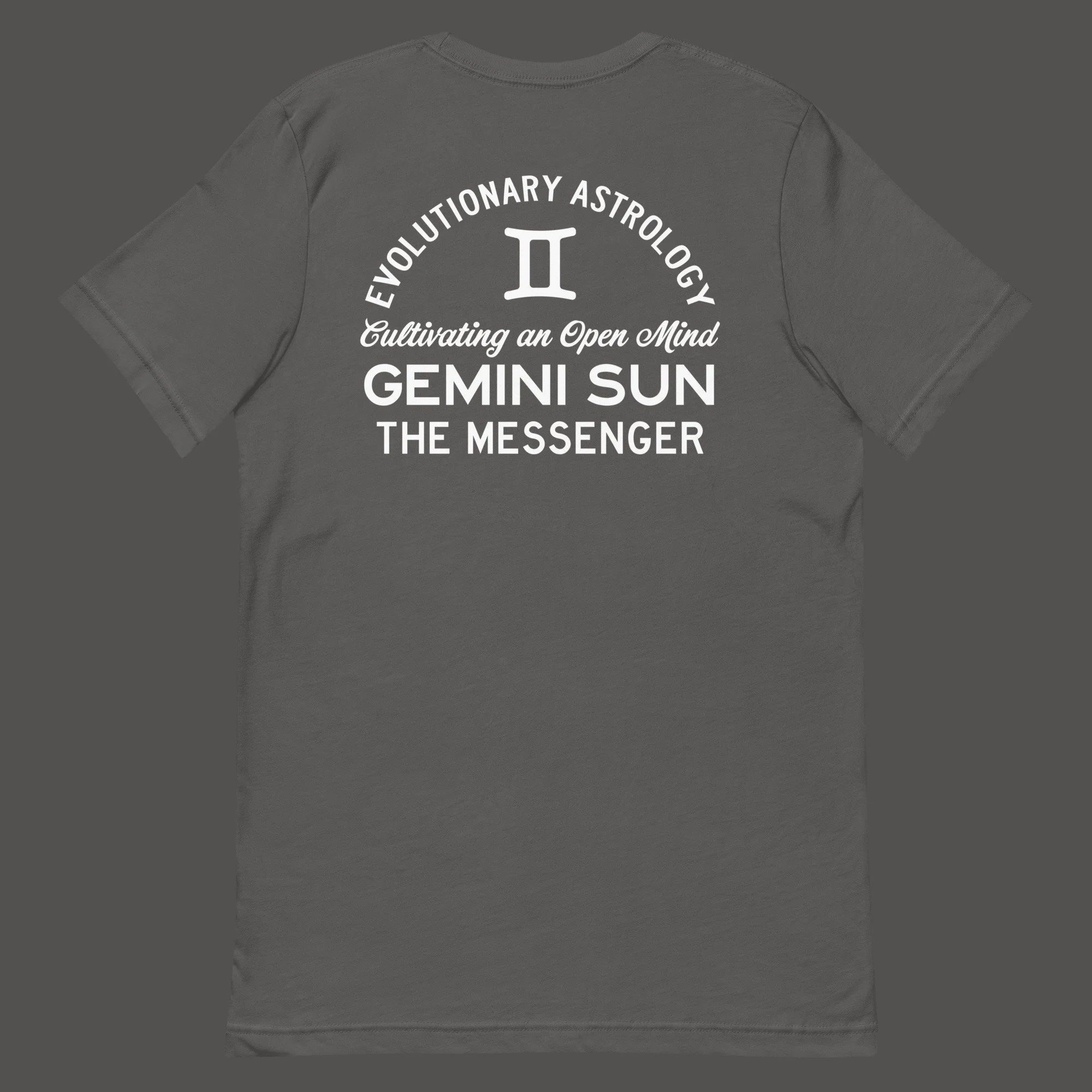 unisex-staple-t-shirt-asphalt-back-633e46076934f.jpg