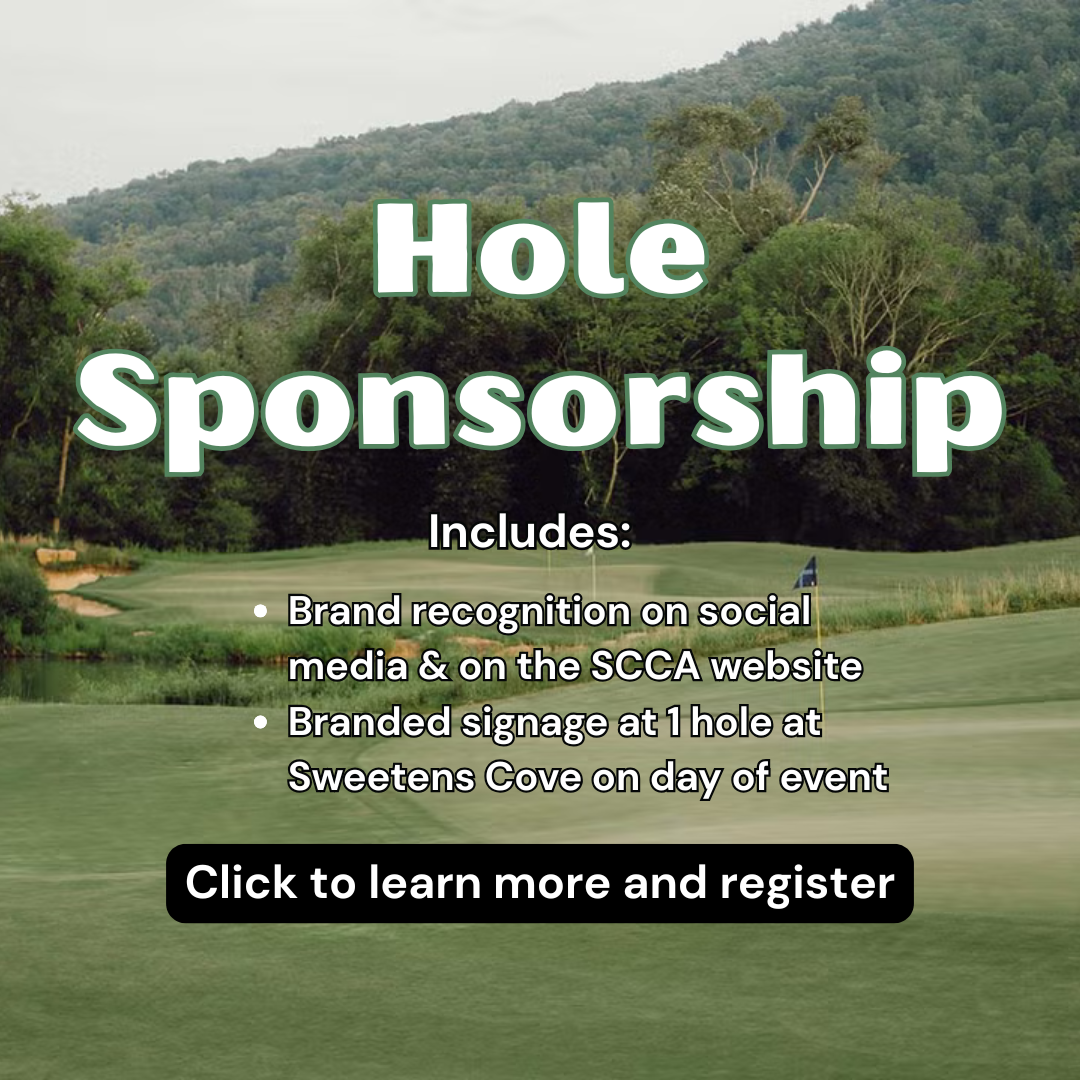 Hole Sponsorship