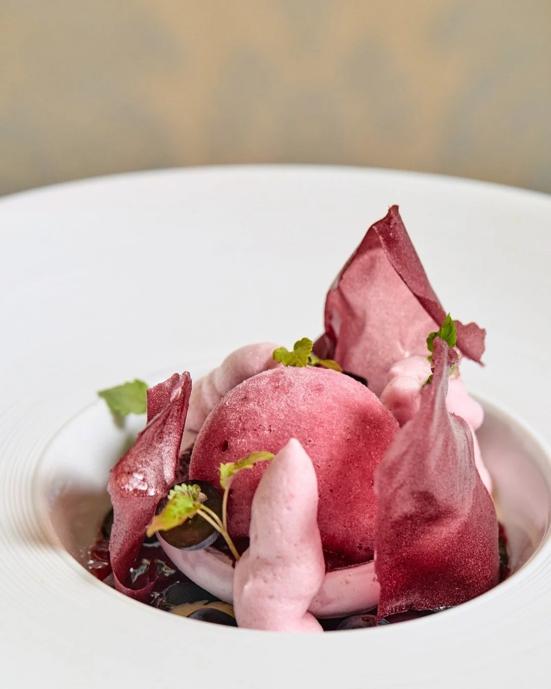 Concord Grape Vacherin | meringue, grape sorbet, sweet cream ice cream

Available daily on Chef's Tasting Menu.

📸 @briansamuelsphotography