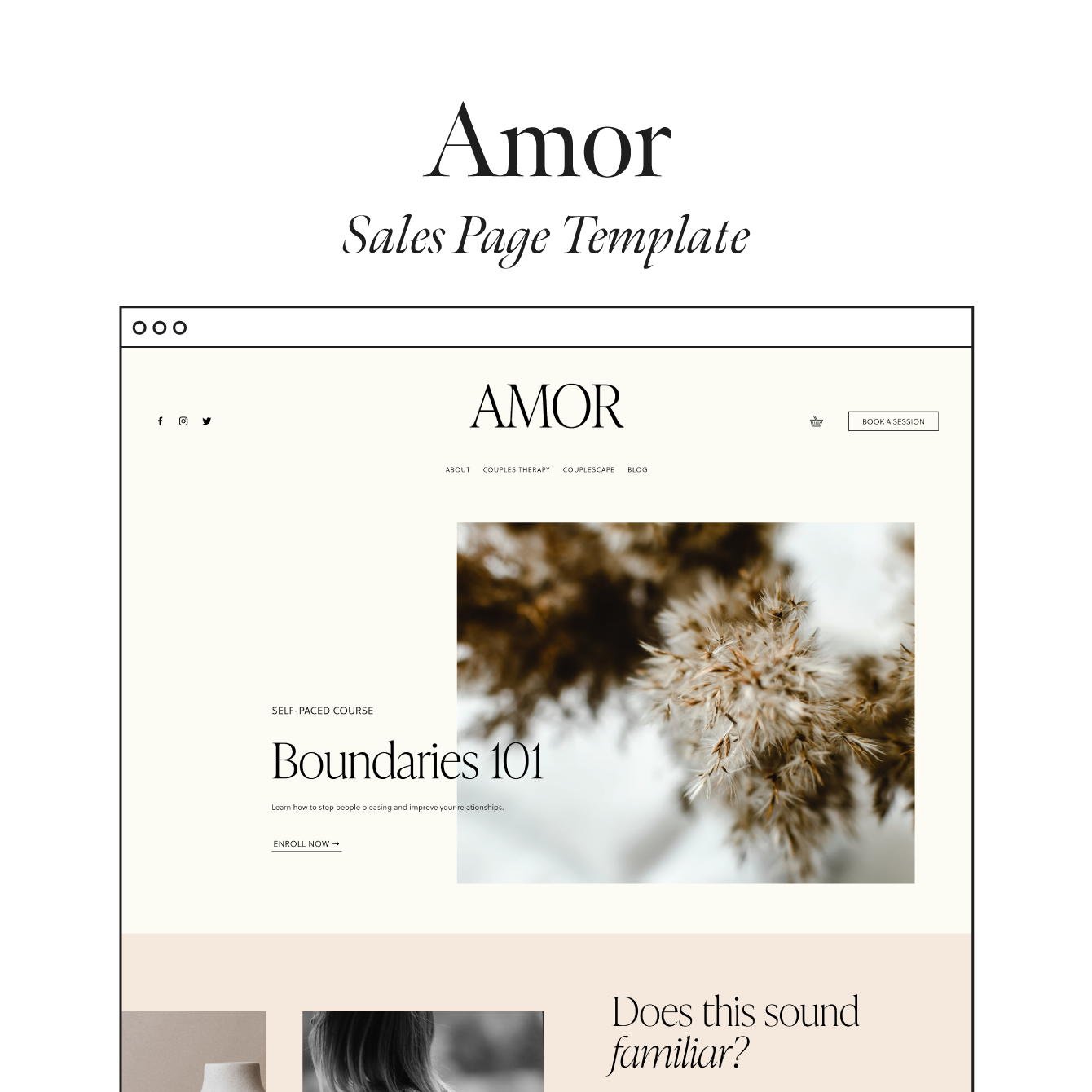 Amor Sales Page Template (Add-On)