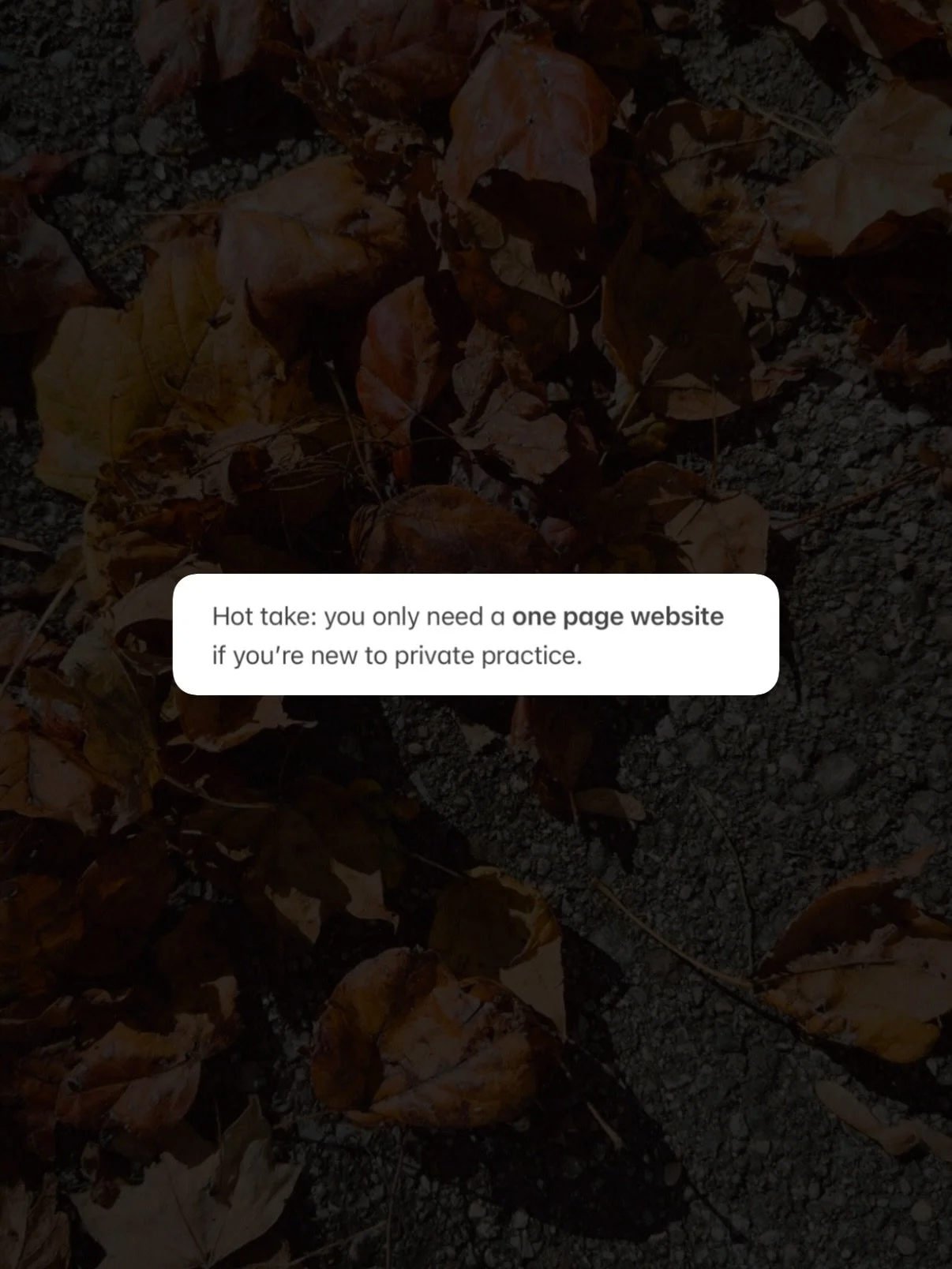 My best tip for early PP owners: set up a simple website to start. You can always add to it or upgrade later 💫

#websitetips #hottake #therapywebsite